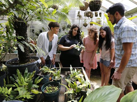 A group of five college students examining a plant in a greenhouse.
