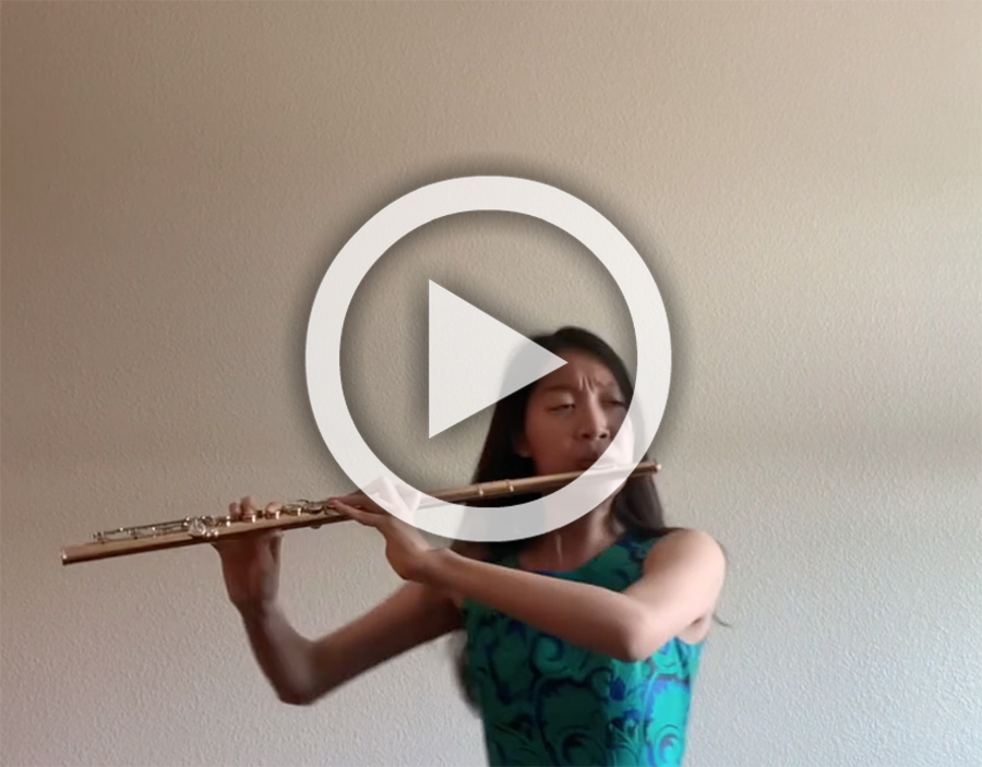 Play the 'The Complete 21st Century Flutist'