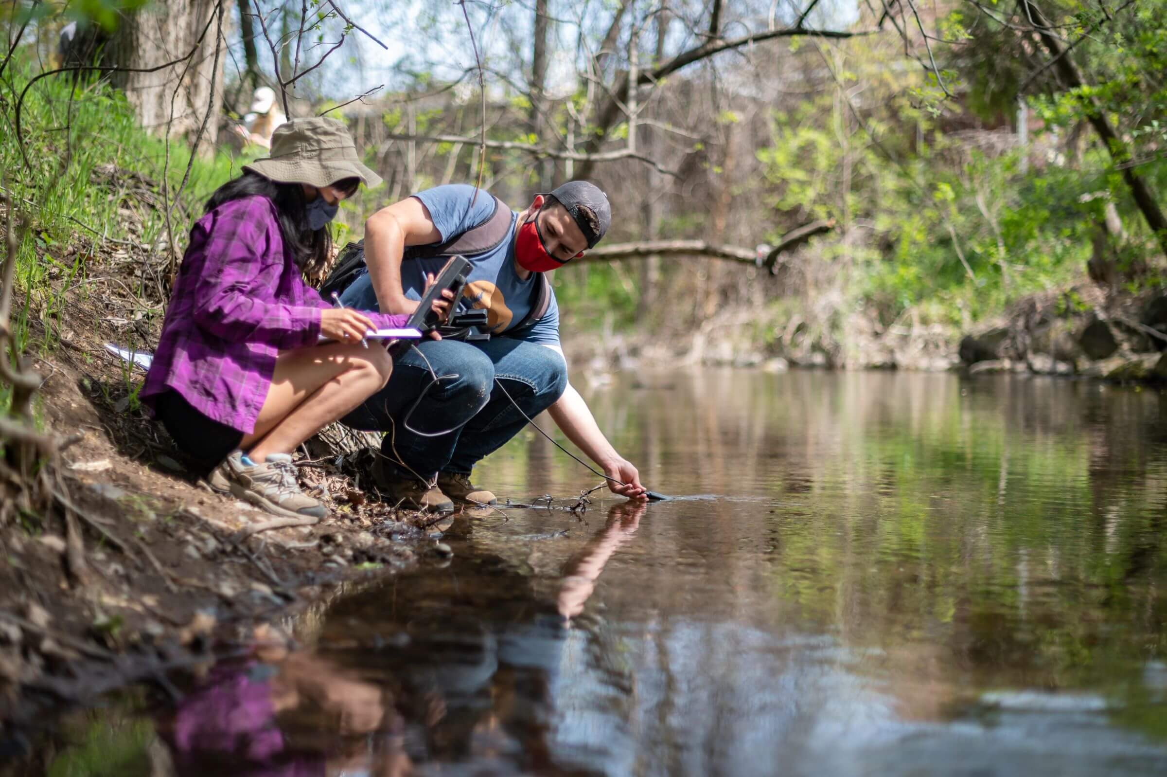 Chico State students take water samples of a creek.