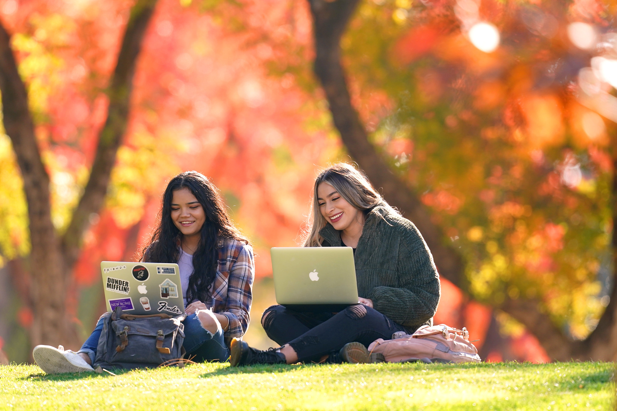 two young women sitting outside on grass with laptops, fall leaves in the background 
