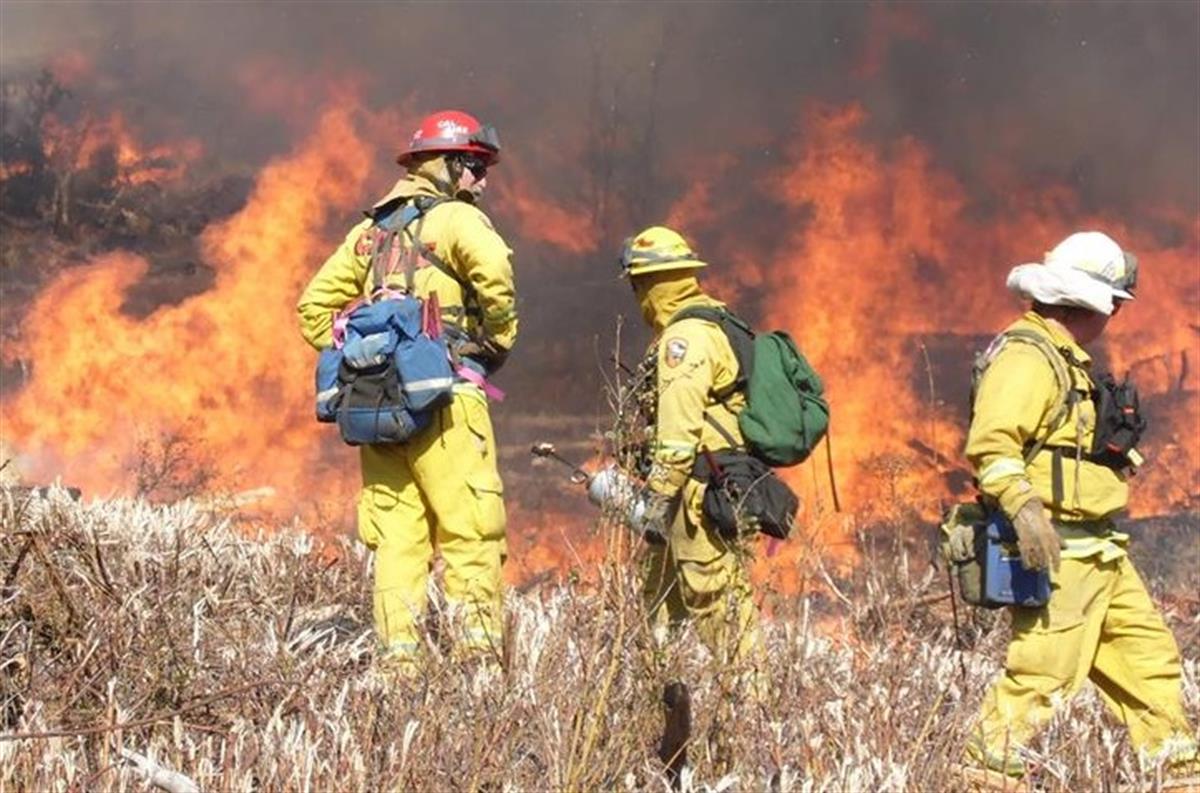 wildfire fighters in the field