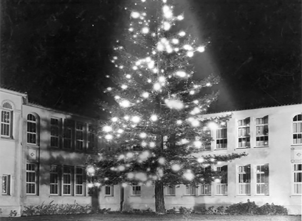 A lighted christmas tree in front of a campus building