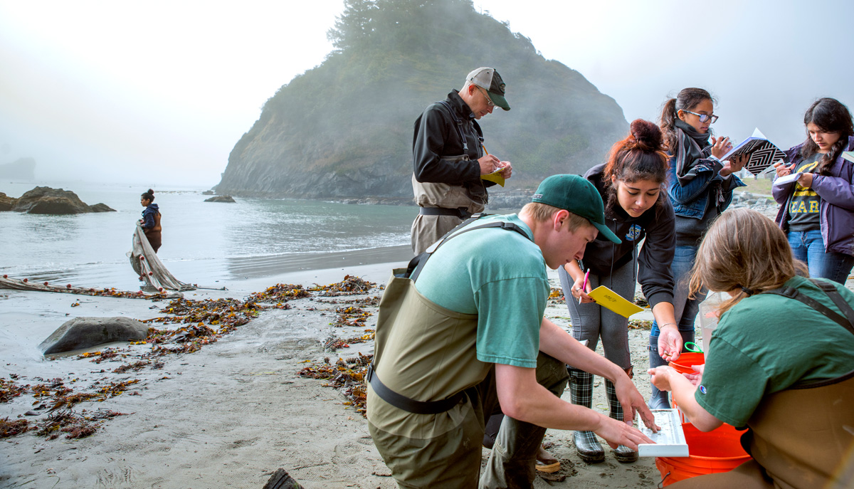 college students examine specimen  on the beach