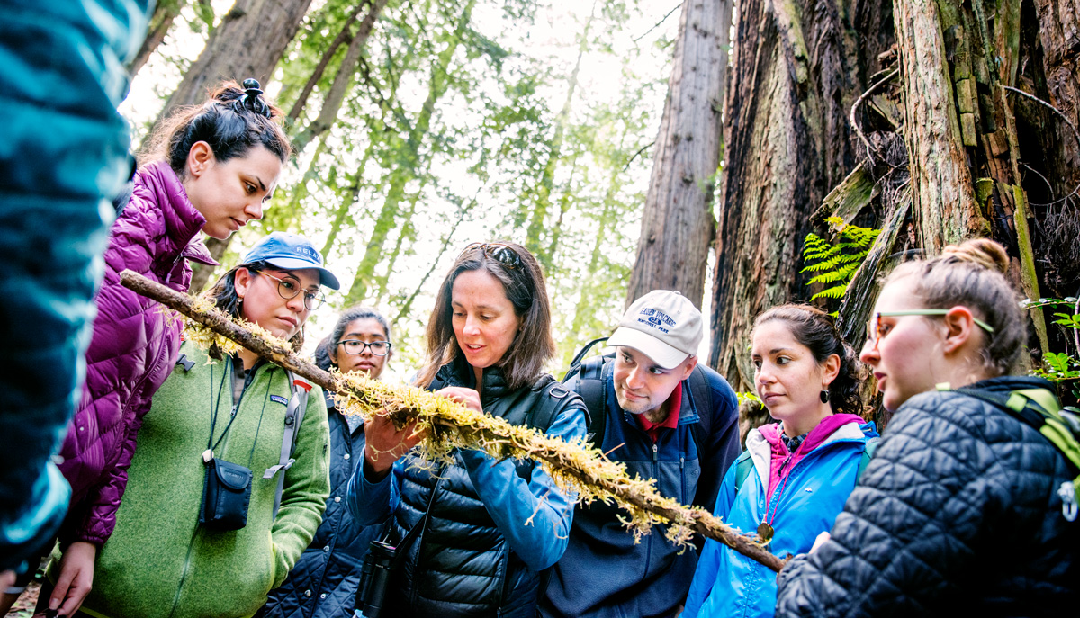 college students examine a stick with moss on it in the forest