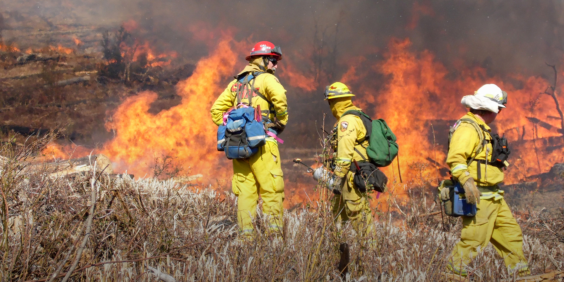 A wildland firefighting crew walks amid wildfire flames.