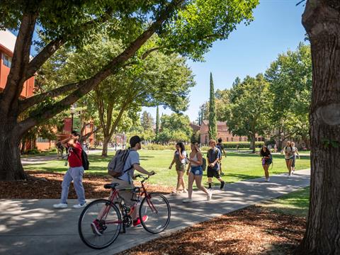 students walking on a college campus outside