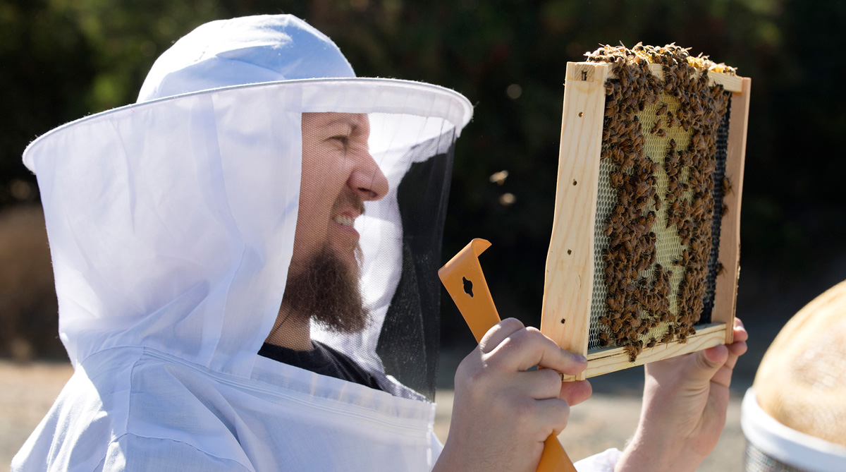 A student participates in Cal Poly Pomona's bee science class.