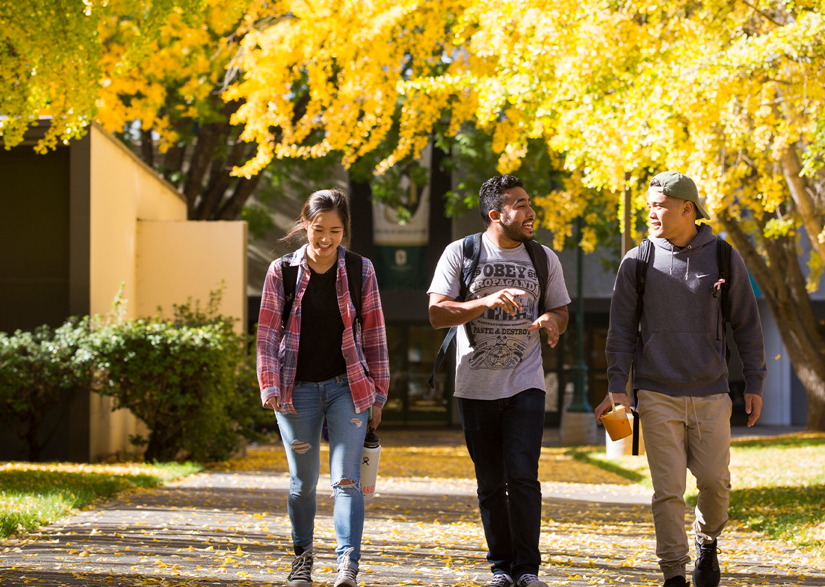 Three students walking to class in the Fall.