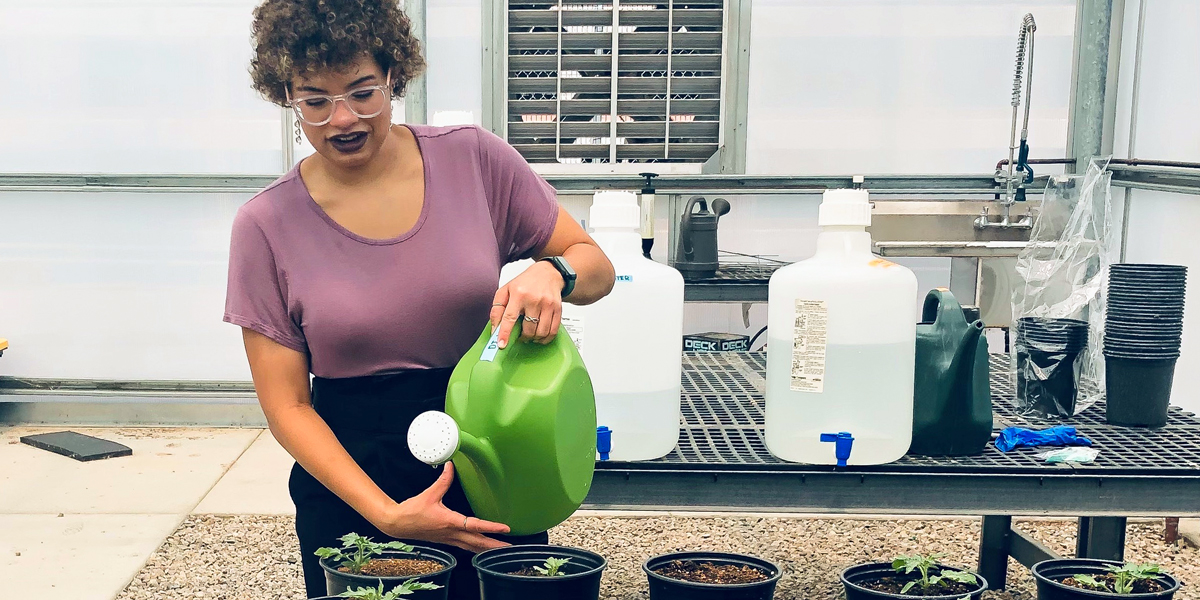 Madison Stewart watering the micro tomato plants.