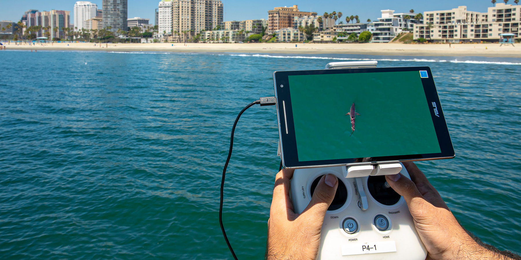 A screen displays a shark spotted using the drone.