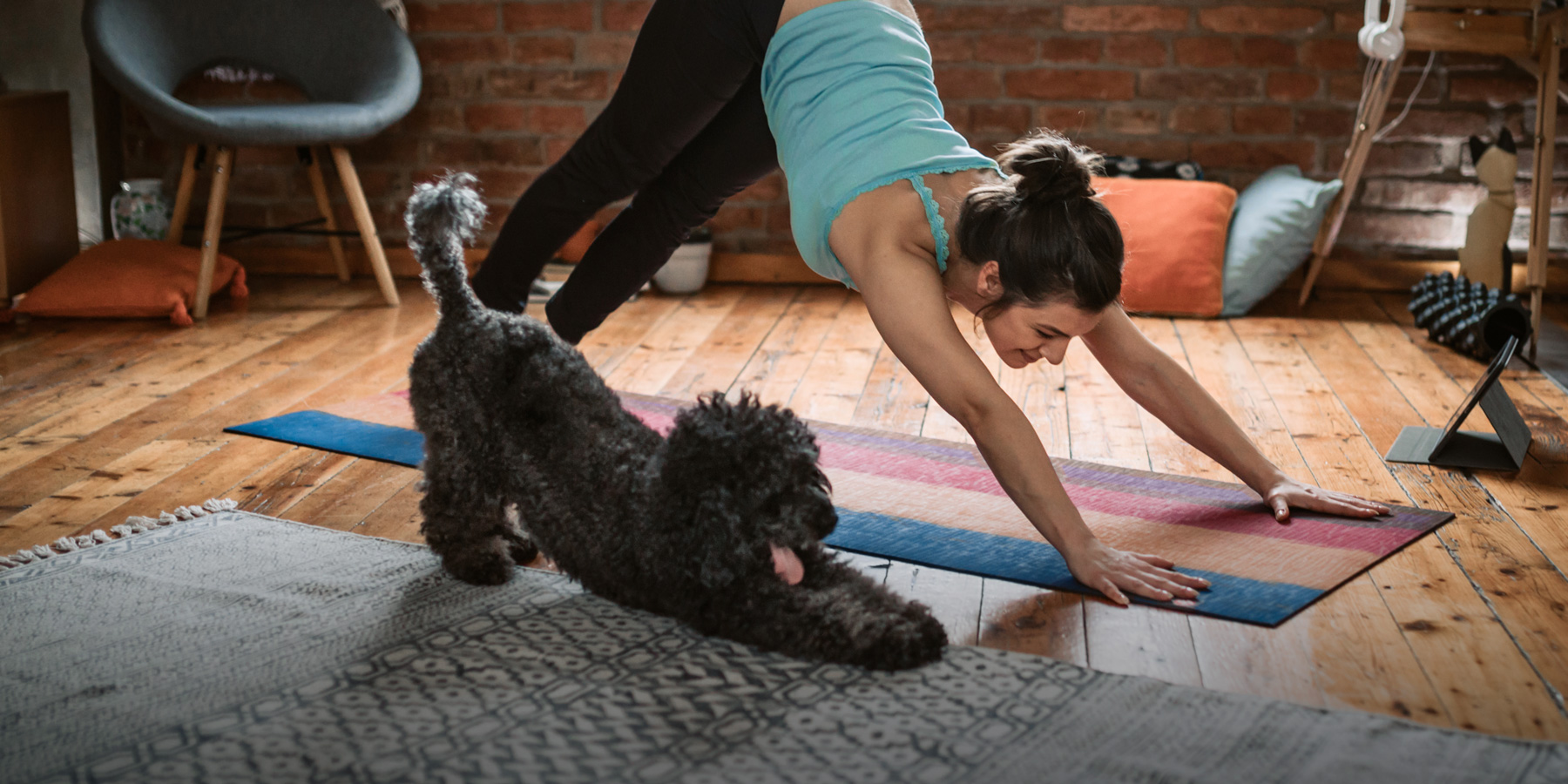 Woman doing yoga with her dog.