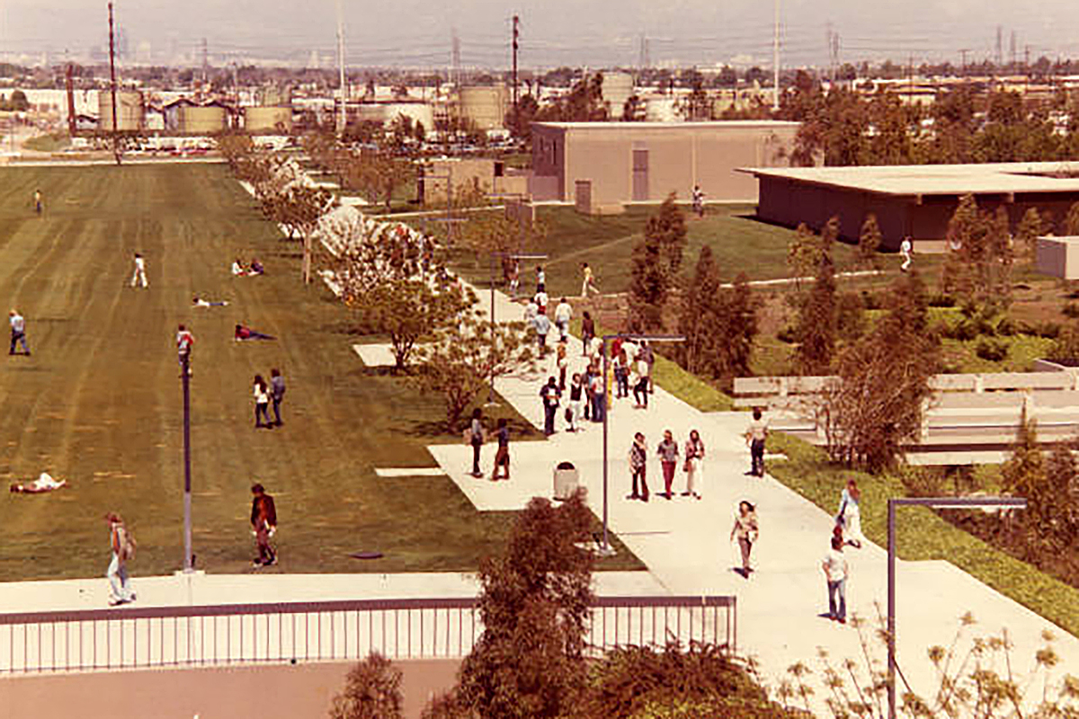 Students mill on the walkway and lounge on an open field in the center of campus. Victoria Street and the surrounding industrial area are in the far background, 1970s.​
