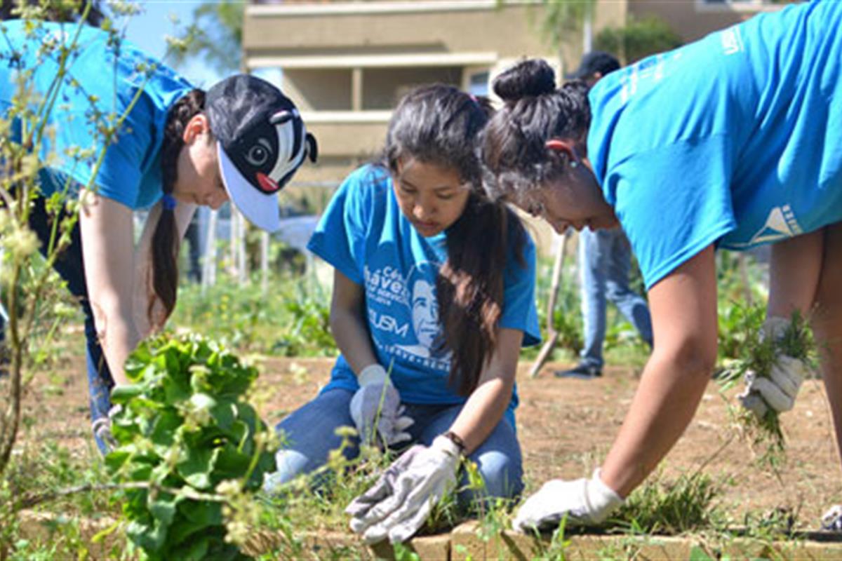 female students tending to a garden