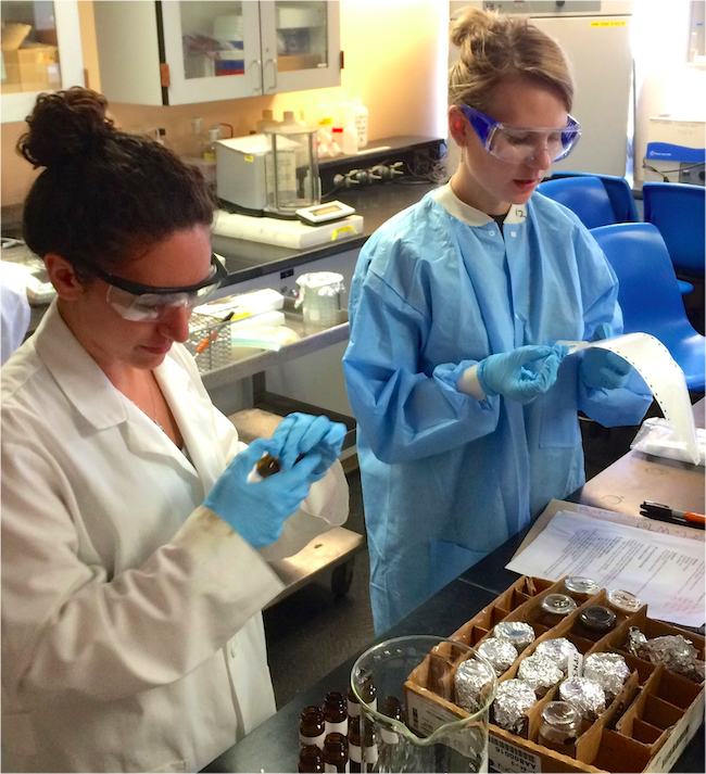 Student preparing samples in lab