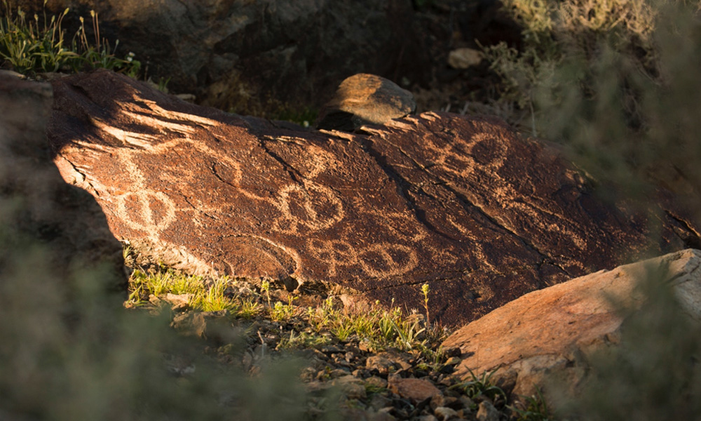 ancient drawings on a rock