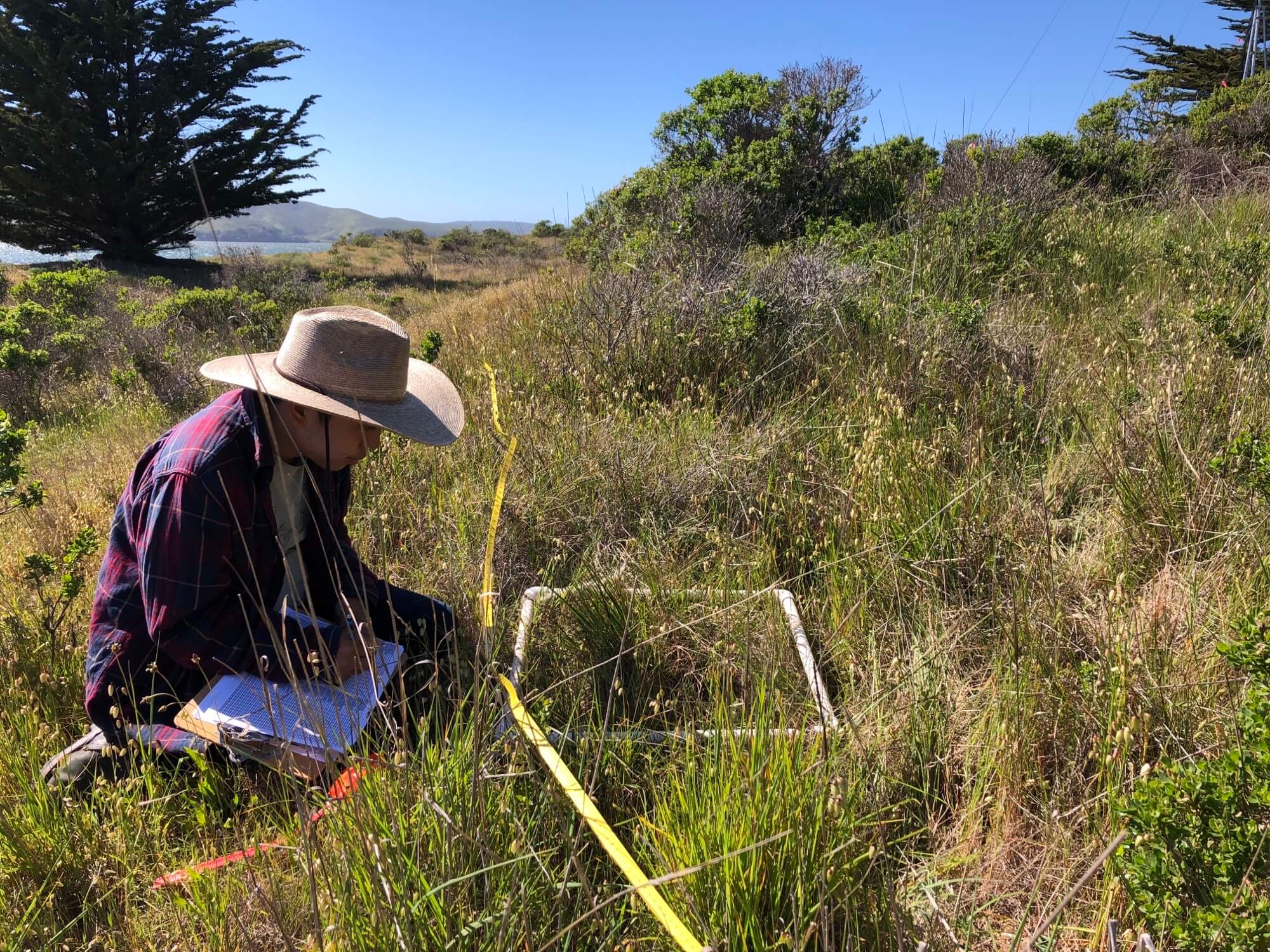 Professor Justin Luong conducts research in a grassland area