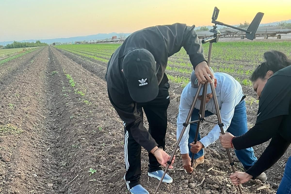The SDSU team sets up a temperature sensor in an agricultural field