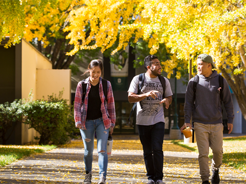 Three students walking to class in the Fall.