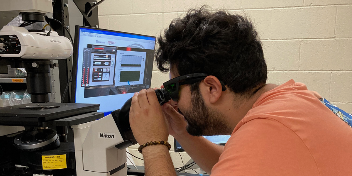 Mauricio Gomez Lopez looks through a microscope in the lab.