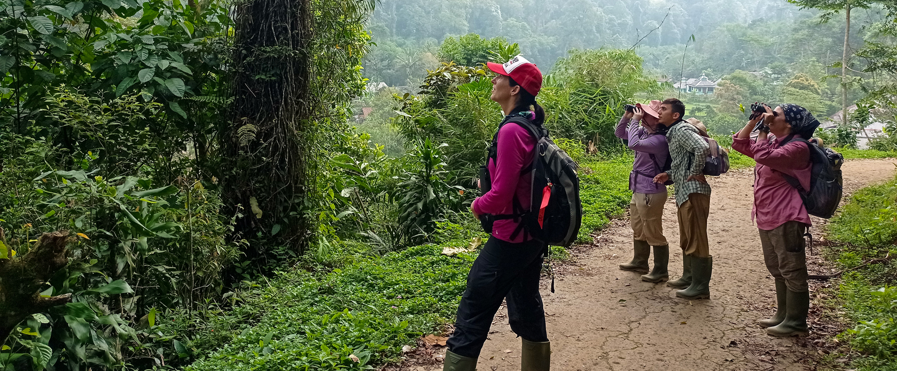SDSU students in the jungle in Indonesia.