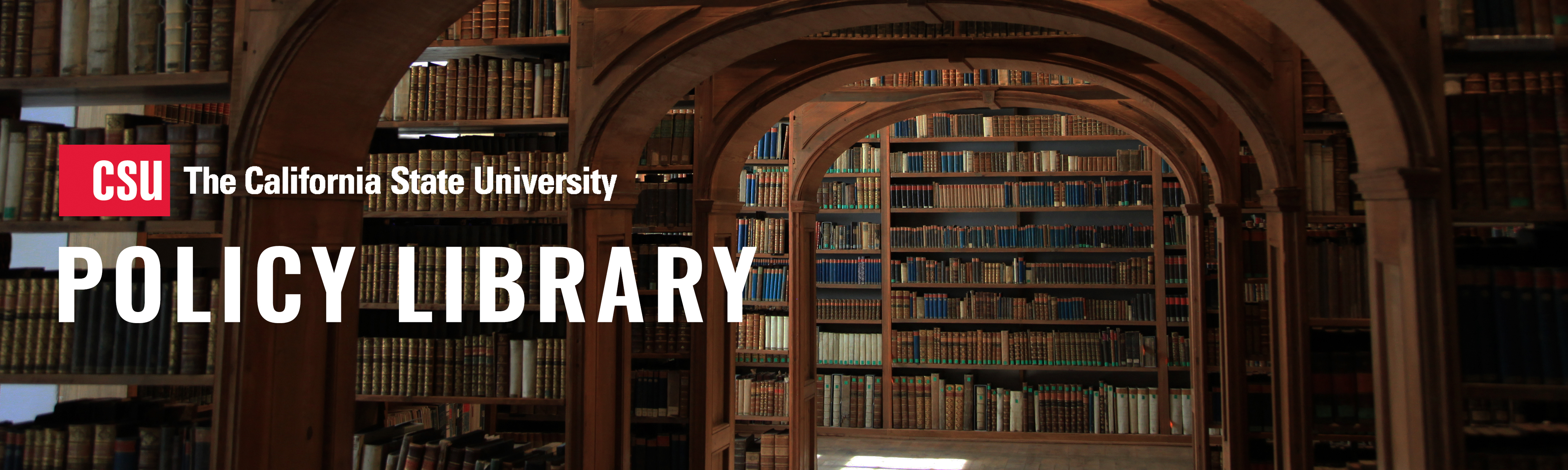 Policy Library Banner 03.jpg